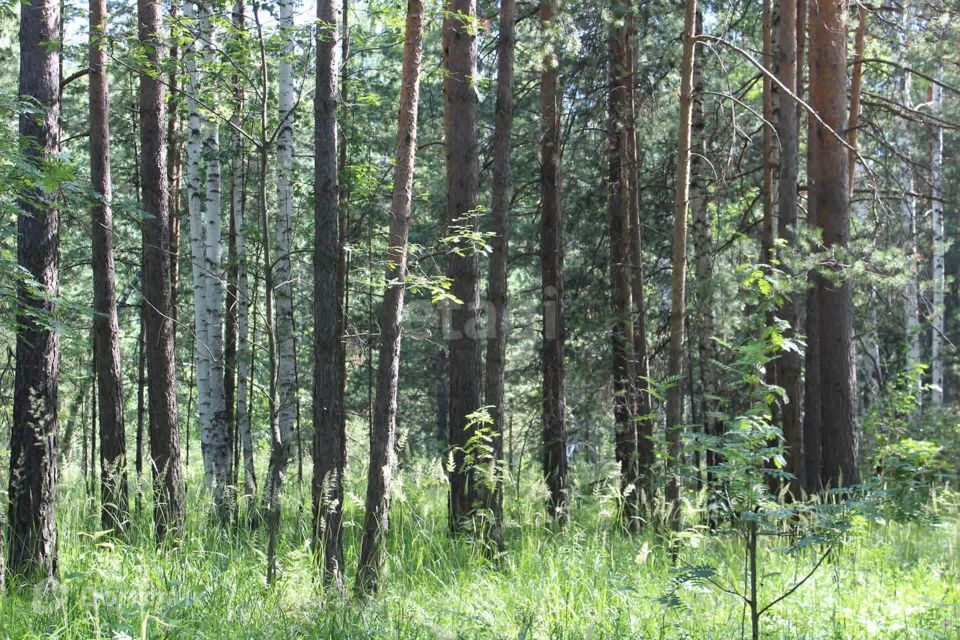 земля Полевской городской округ, село Курганово фото 3