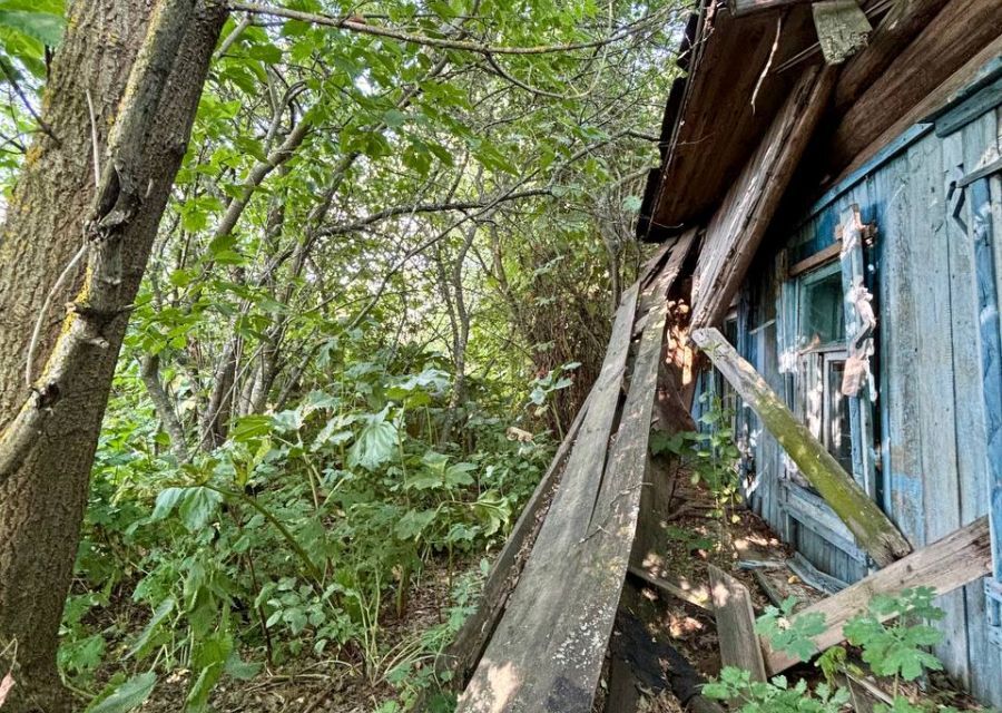 земля р-н Муромский д Петроково ул Полевая фото 4