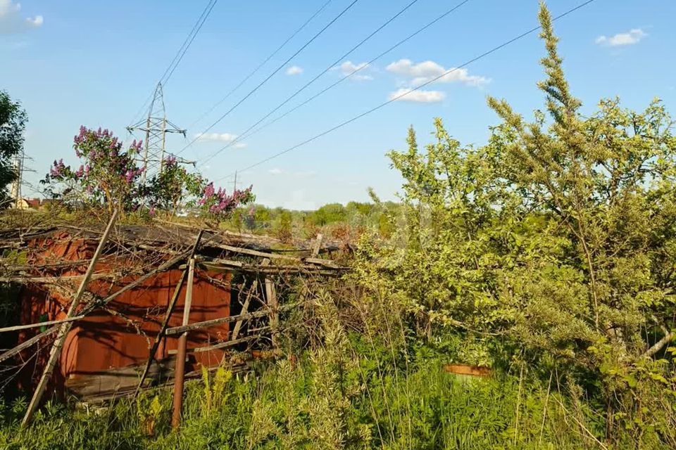 земля р-н Брянский д Добрунь садоводческое некоммерческое товарищество Пищевик фото 6