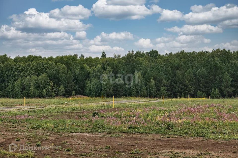 земля р-н Белгородский пгт Разумное ст Вишенка фото 10