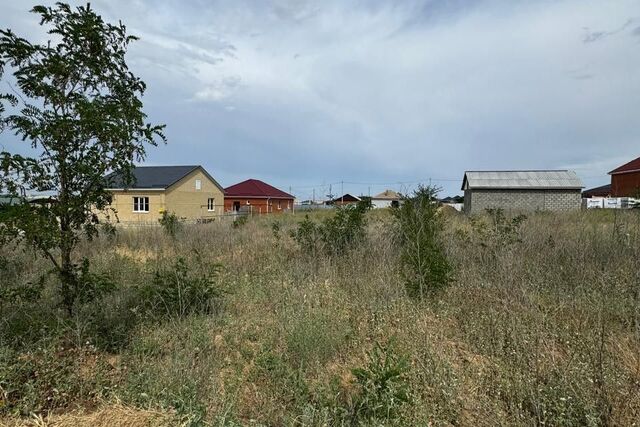 г Элиста пер Манцын Кец городской округ Элиста фото