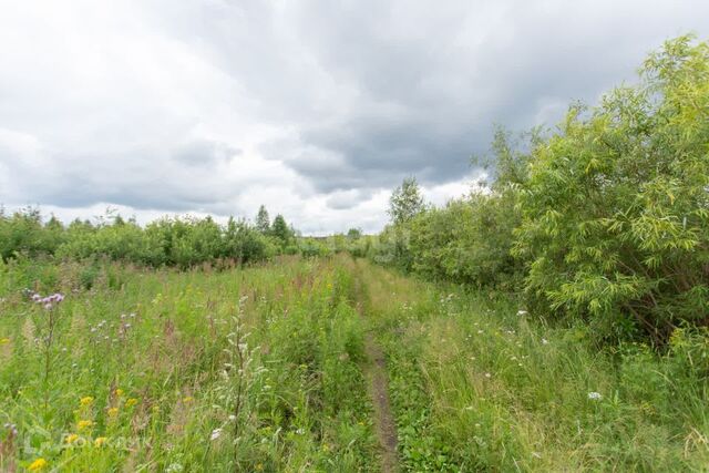 Иртышский микрорайон Иртышский, городской округ Тобольск фото