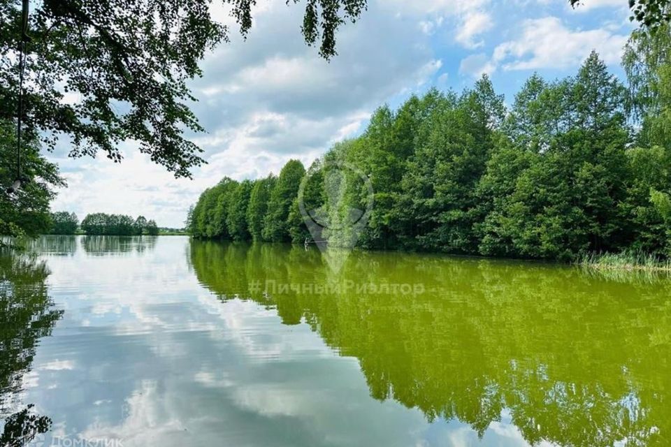 земля р-н Рязанский с Кораблино Центральная фото 3