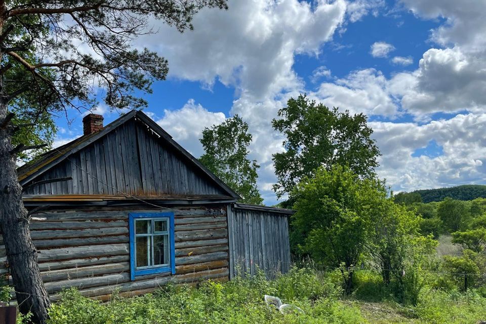 дом р-н Благовещенский село Бибиково фото 5