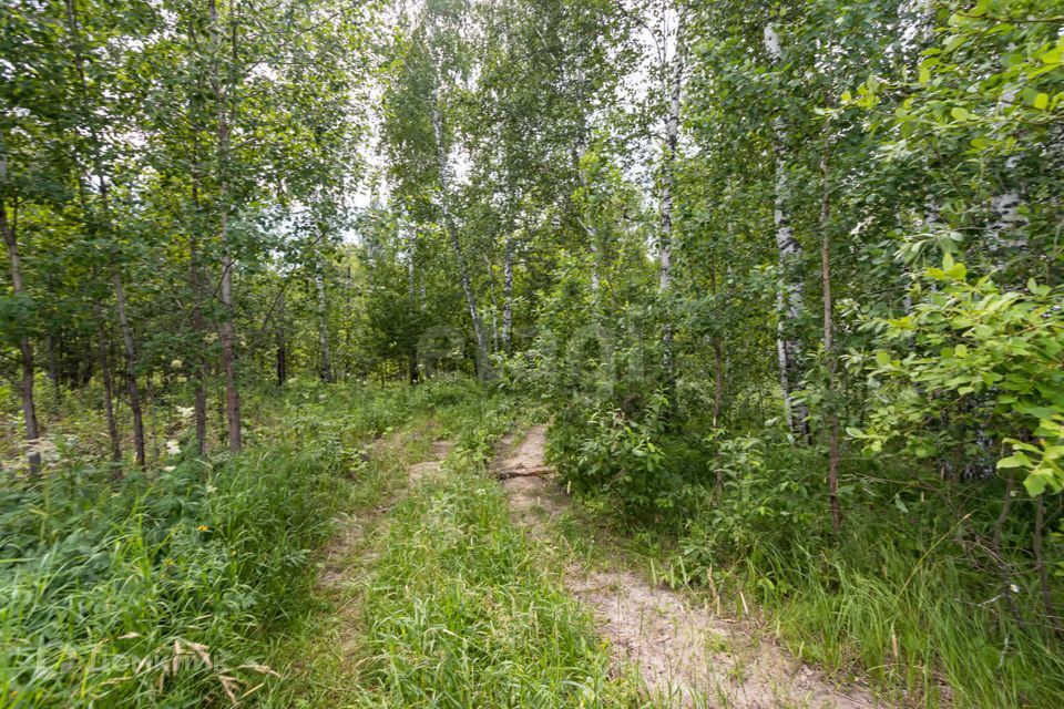 земля г Тюмень городской округ Тюмень, Воеводы Барятинского фото 8