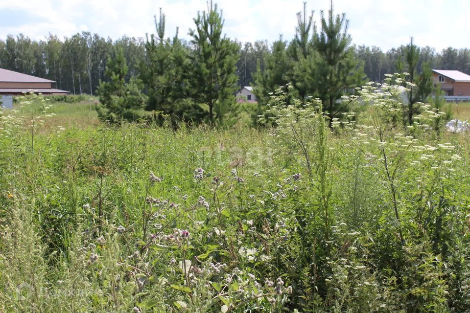 земля Полевской городской округ, село Курганово фото 6