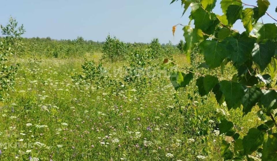 земля городской округ Бердск, садоводческое товарищество Радист, 1-я улица фото 10