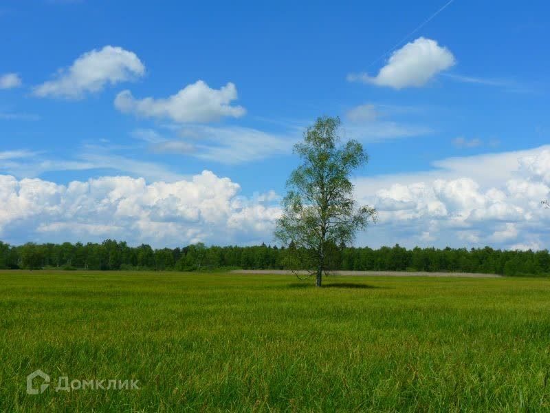 земля р-н Лысковский село Никольское фото 5