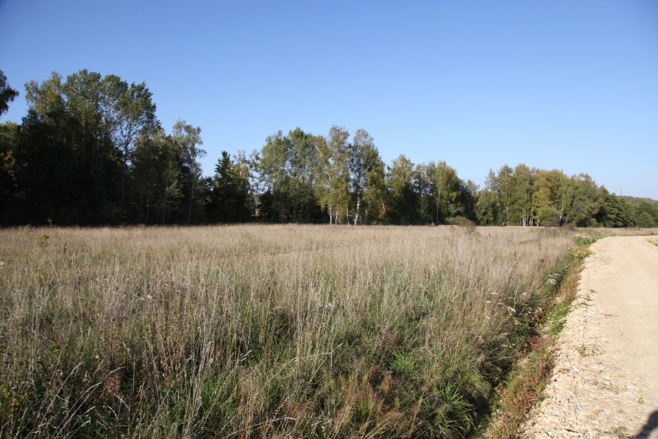 земля р-н Жуковский село Совхоз Чаусово фото 5