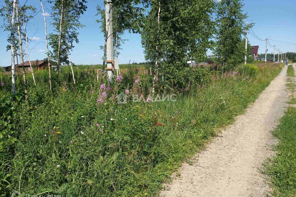 земля р-н Собинский село Бабаево фото 6