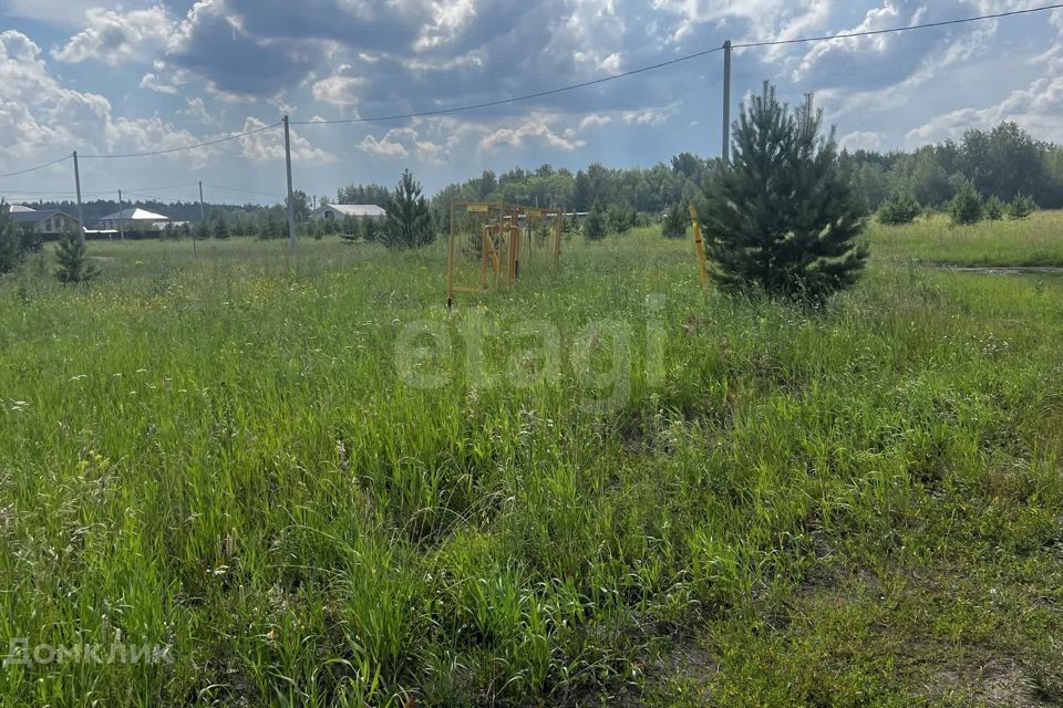 земля р-н Тюменский с Перевалово ул Отрадная Переваловское сельское поселение фото 8