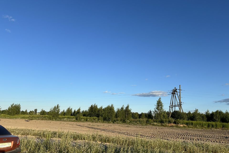 земля городской округ Бор, Бор фото 7