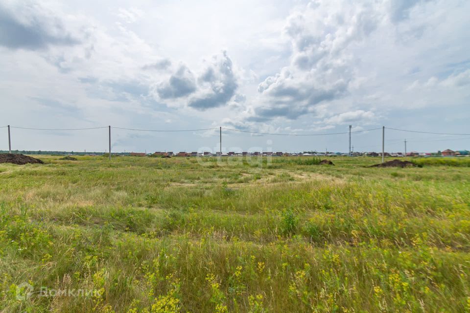 земля р-н Омский село Надеждино фото 5