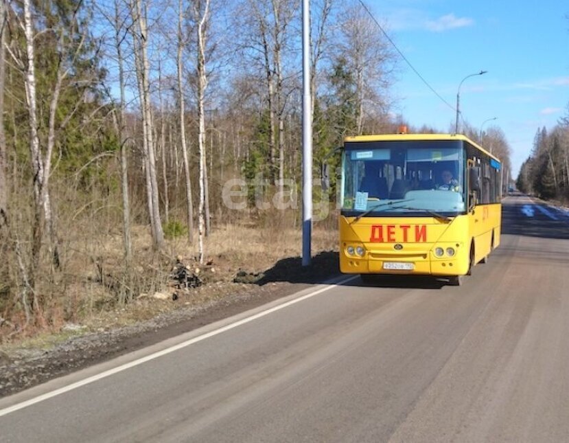 земля г Москва п Новофедоровское д Архангельское ул Барятинская ТиНАО Апрелевка, район Бекасово фото 5