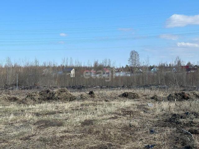 ул Центральная городское поселение Пойковский фото