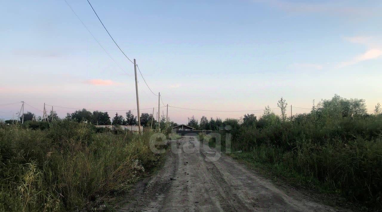 земля г Тюмень р-н Центральный снт Матрешка ул. Листопадная фото 3