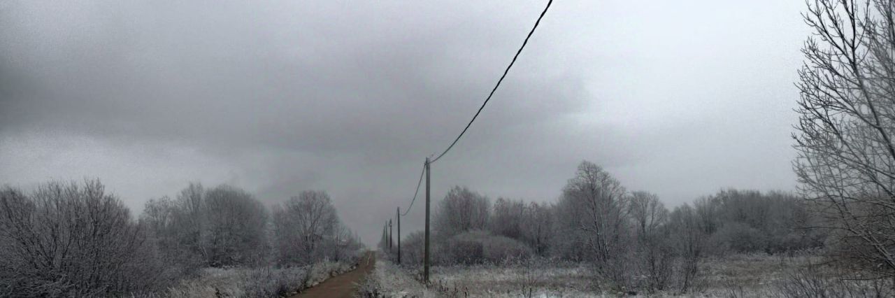 земля р-н Новгородский д Ушерско ул Георгиевская Савинское с/пос фото 3