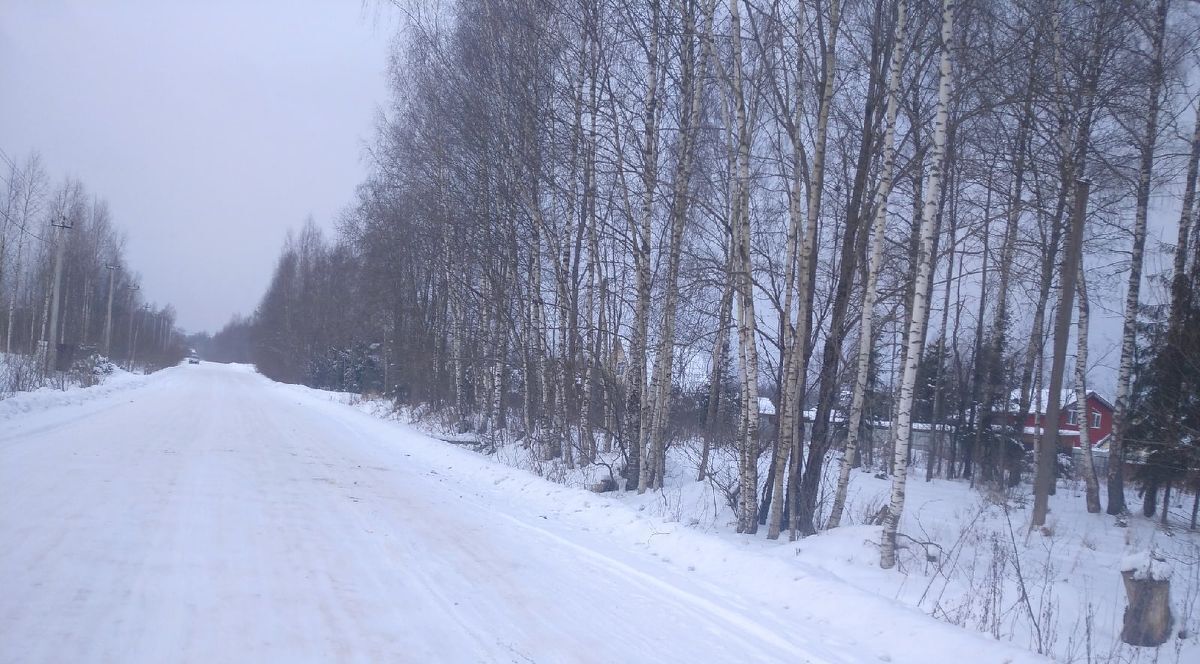 земля р-н Новгородский д Жабицы Савинское с/пос фото 3