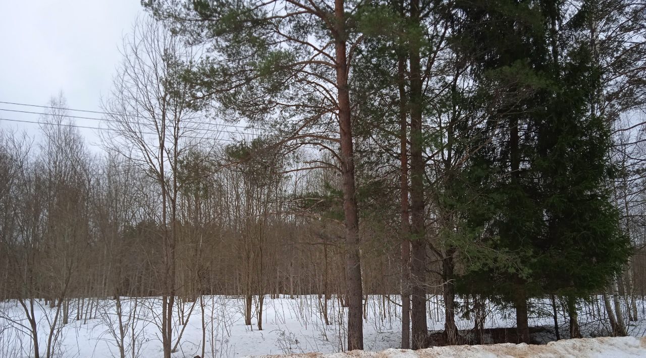 земля р-н Новгородский д Радоча фото 4