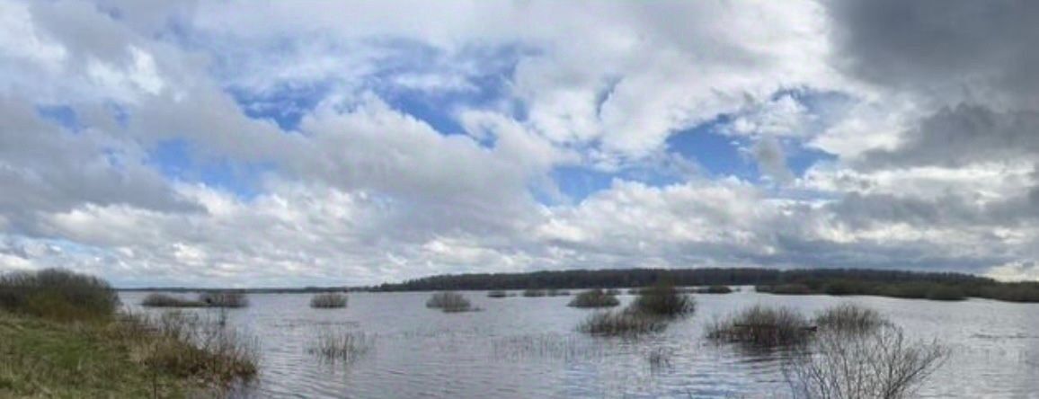 земля р-н Шимский д Старый Шимск Шимское городское поселение фото 4