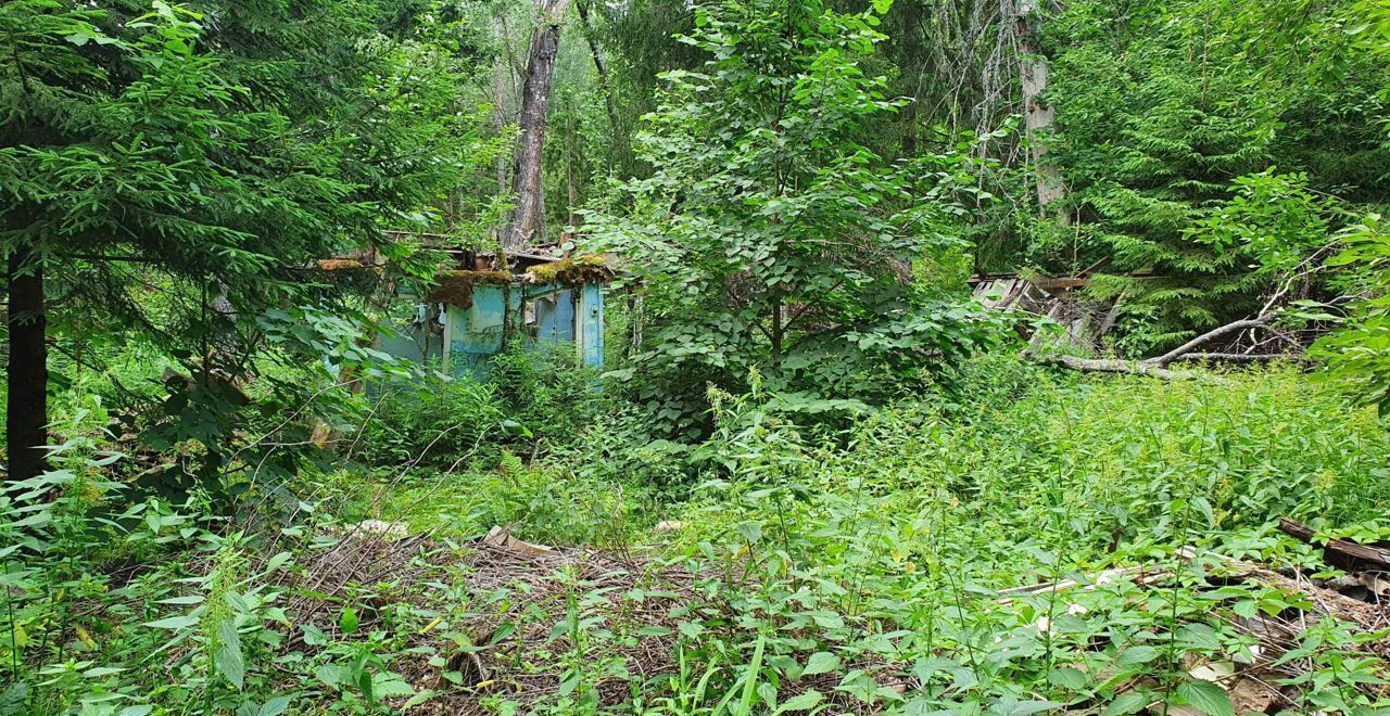 офис городской округ Одинцовский п Криуши 6А, Старый Городок фото 11