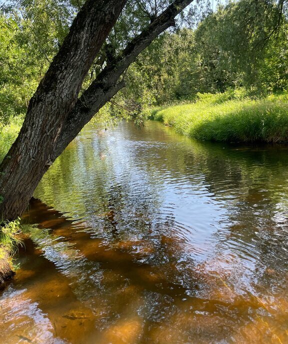 дом г Пушкино снт Водопроводчик-1 163, городской округ Пушкинский фото 16