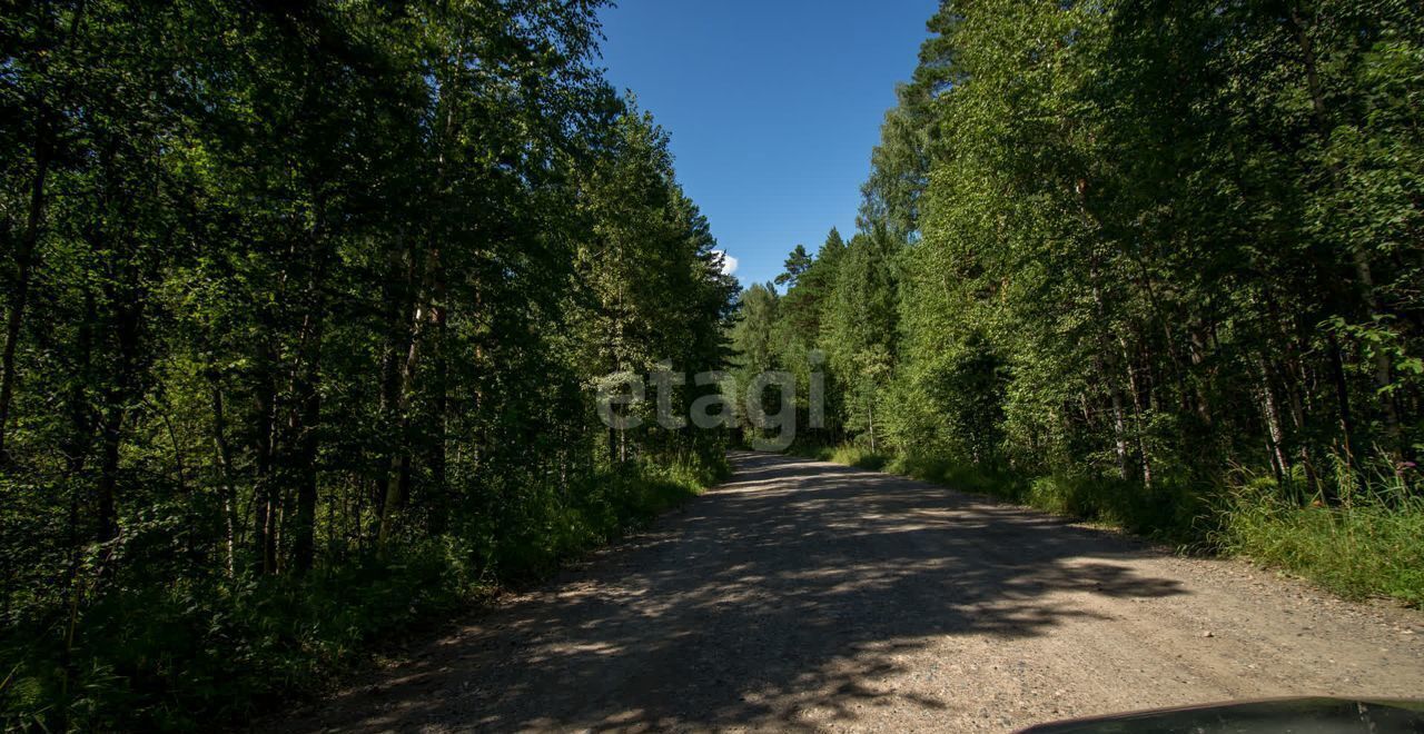 земля р-н Томский коттеджный пос. Журавли, Томск фото 10