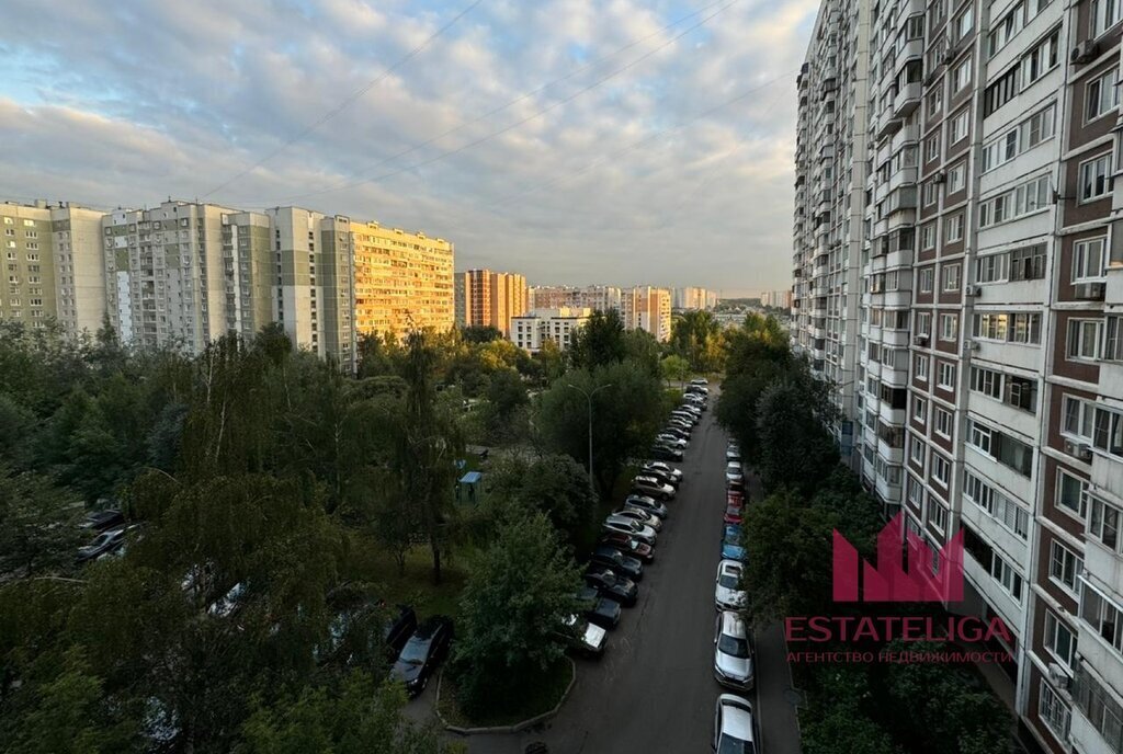 квартира г Москва метро Лесопарковая ул Старобитцевская 17к/1 фото 10