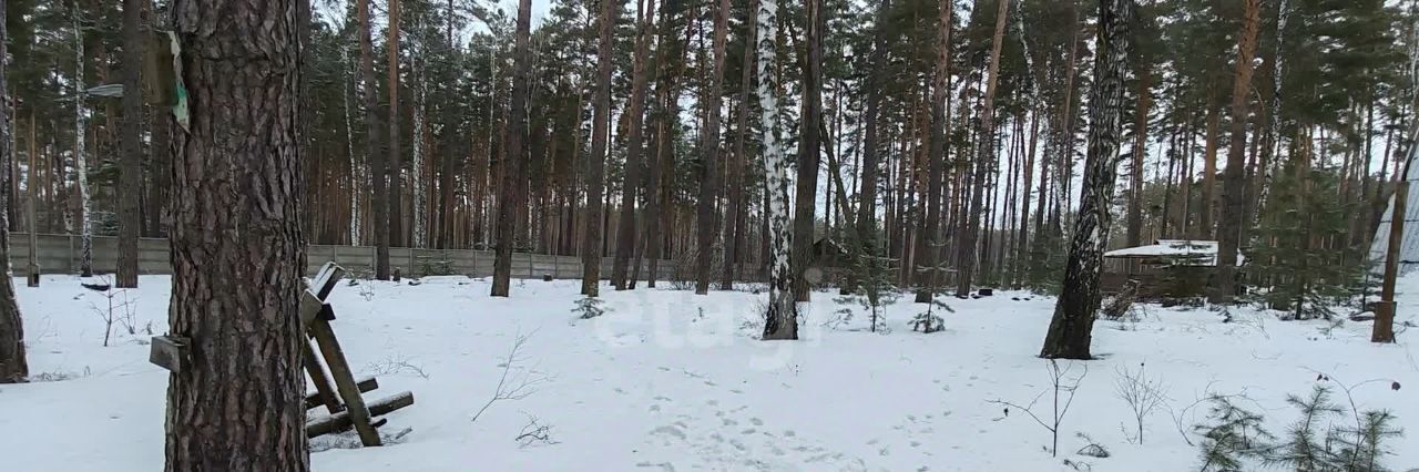 земля р-н Грязинский Ярлуковский сельсовет, Ленинский Лесхоз тер., ул. 107-й квартал фото 8