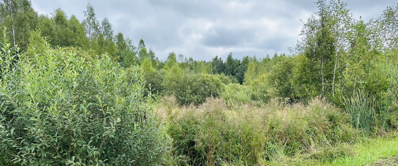 земля г Домодедово снт Зеленая роща 57, Волоколамский городской округ фото 4