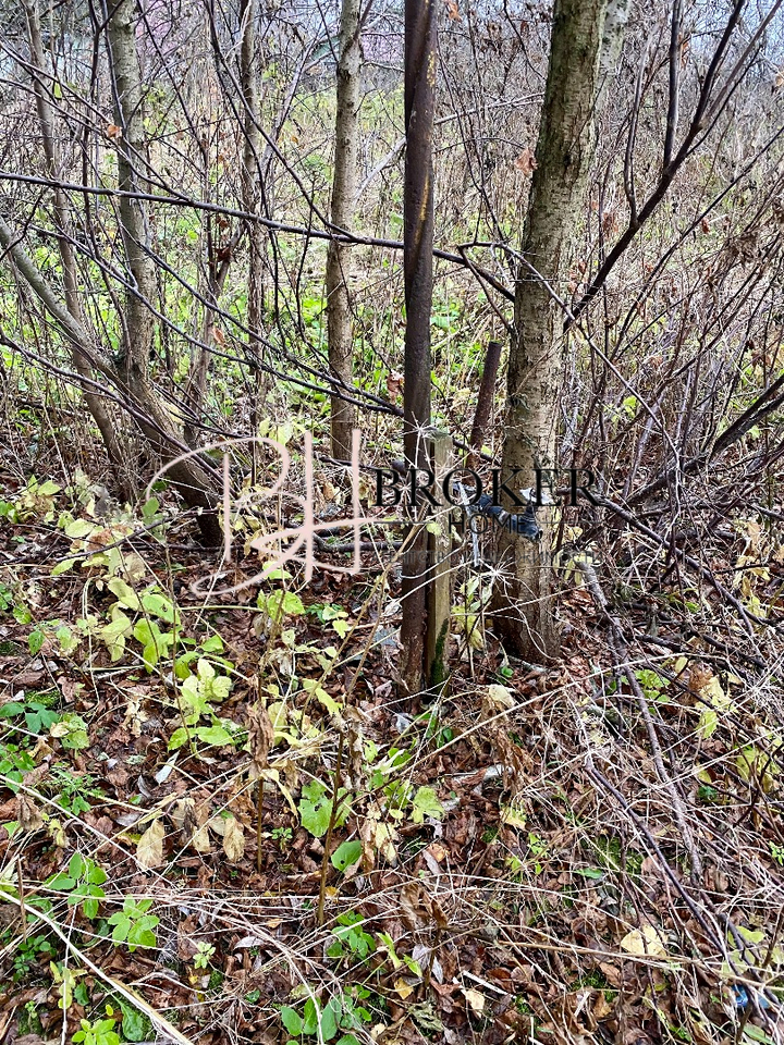 земля городской округ Дмитровский д Абрамцево фото 5