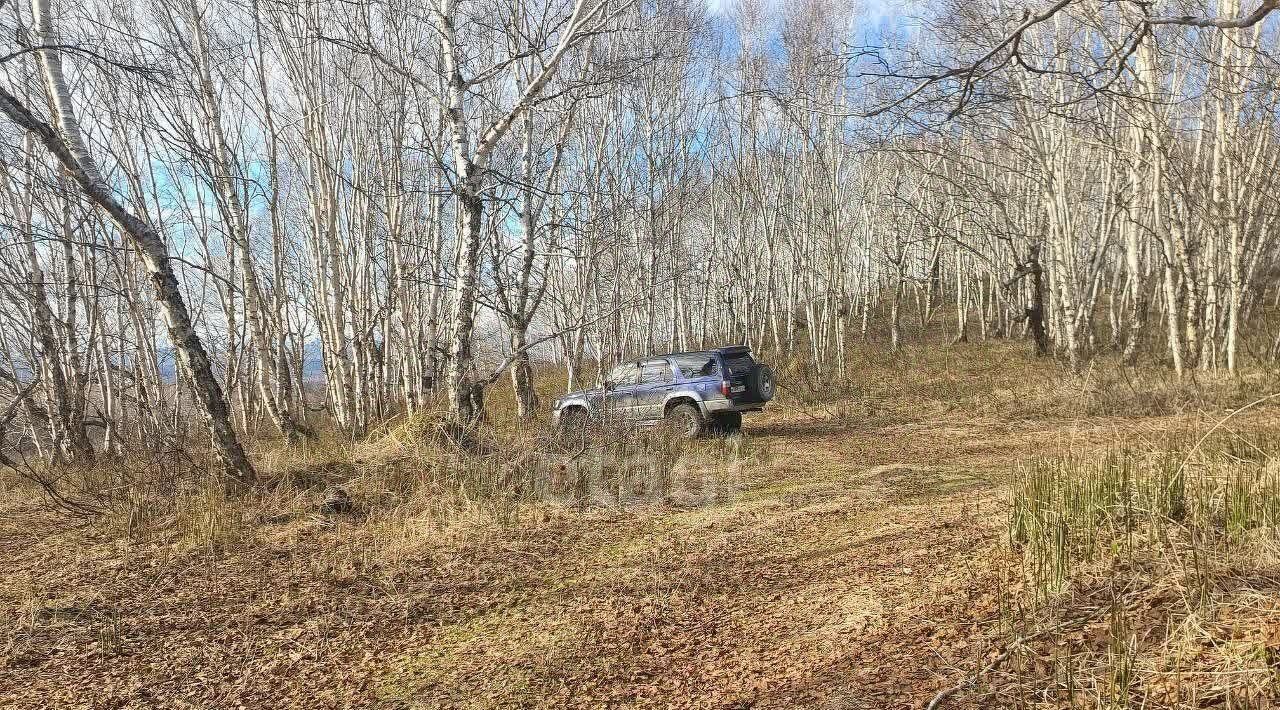 земля р-н Елизовский снт Проектировщик фото 1