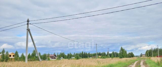 д Шоя-Кузнецово ул Счастливая фото