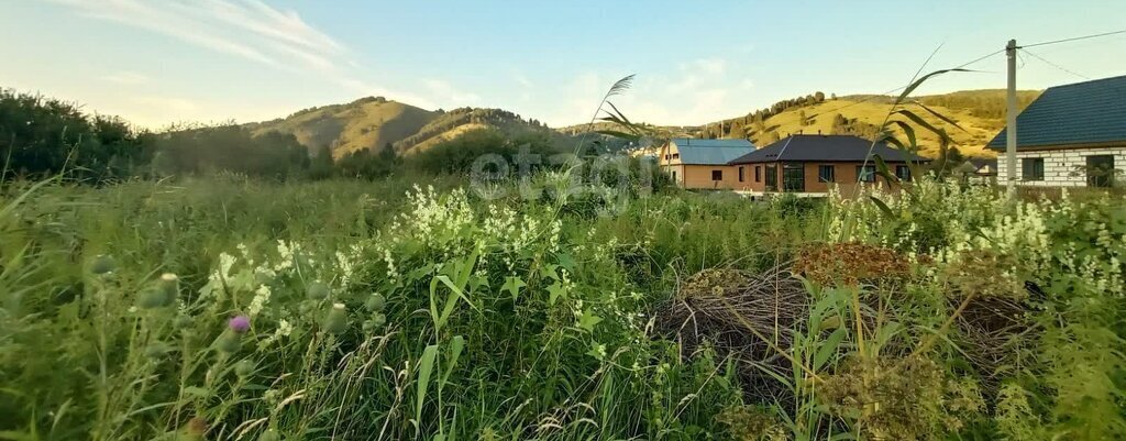 земля р-н Майминский с Кызыл-Озек ул Напалковой фото 5