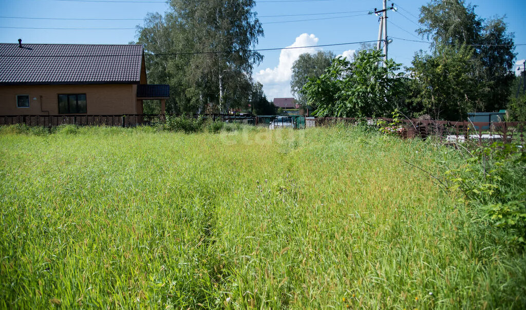 земля г Бердск снт Отдых фото 9