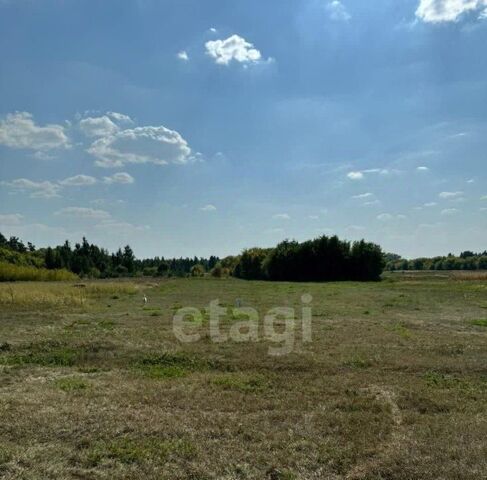 Старооскольский городской округ фото