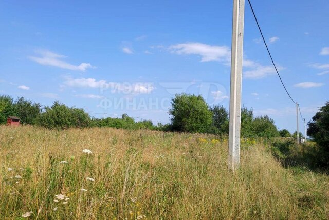 садовое товарищество Лира фото