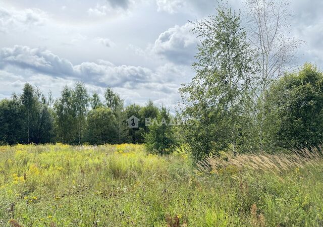 д Злобино р-н Октябрьский фото