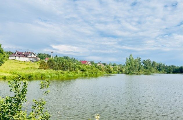 земля городской округ Сергиево-Посадский д Спасс-Торбеево 44 км, Красноармейск, Ярославское шоссе фото 4