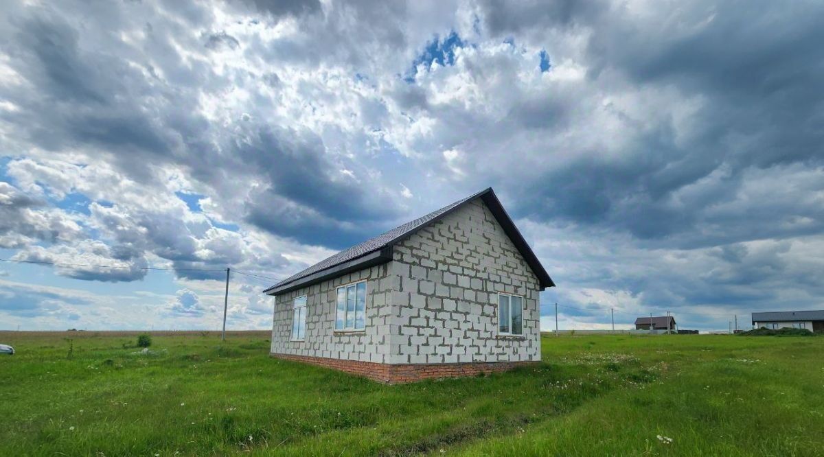 дом р-н Курский д 1-е Цветово Новопоселеновский сельсовет, 1 фото 4