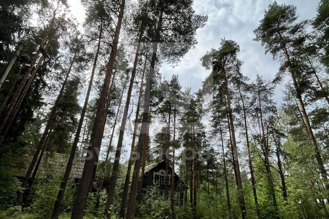 ул Гоголя Всеволожское городское поселение фото