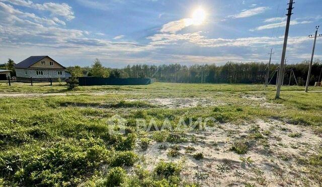 ул Мазуровка 183 Сосновский сельсовет фото