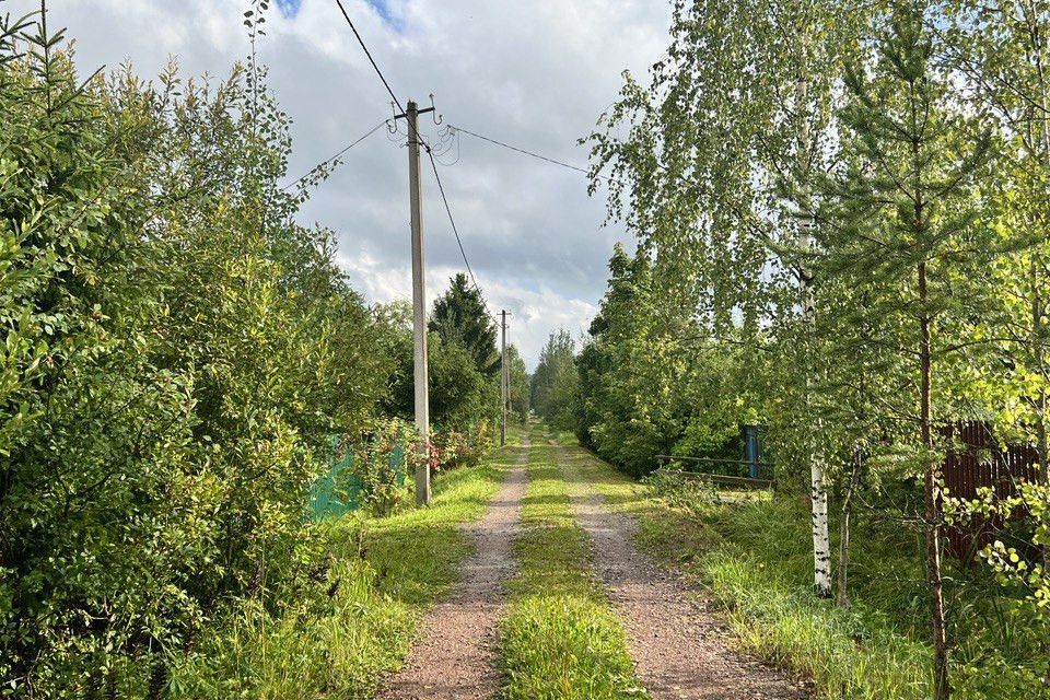 земля р-н Тосненский п Бабино садовое некоммерческое товарищество Нева фото 1