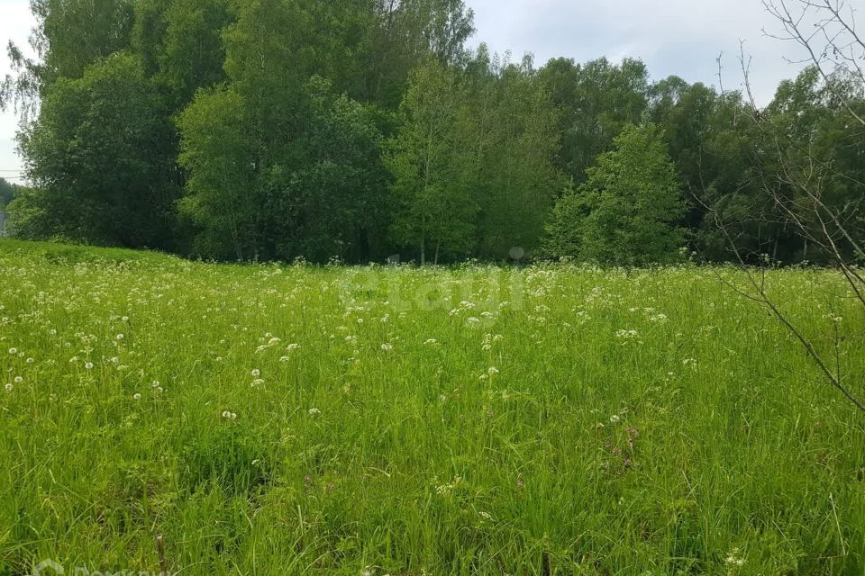 земля городской округ Солнечногорск Сергеевка фото 3