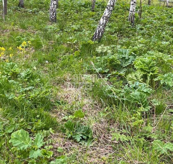 земля городской округ Дмитровский коттеджный посёлок Удино-Парк фото 4