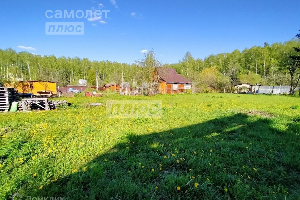 земля городской округ Коломна, СНТ Таёжный фото 2