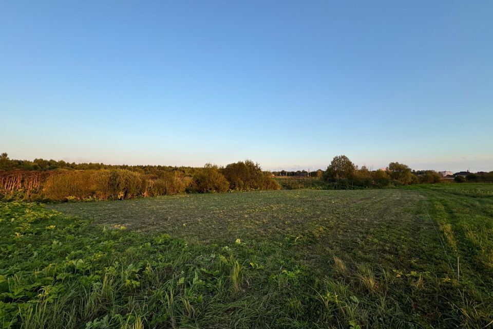 земля городской округ Талдомский фото 4