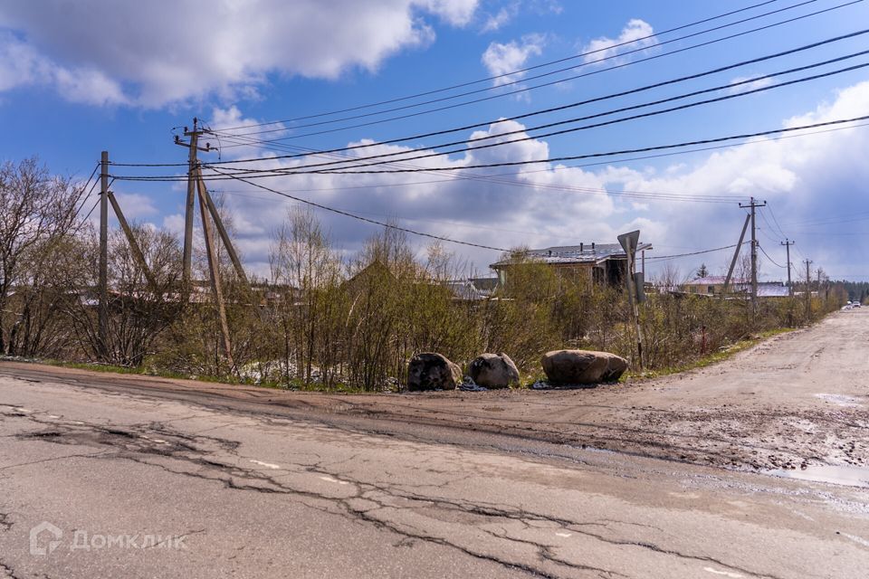 земля р-н Всеволожский массив Кискелово СНТ Сосновая Поляна фото 6