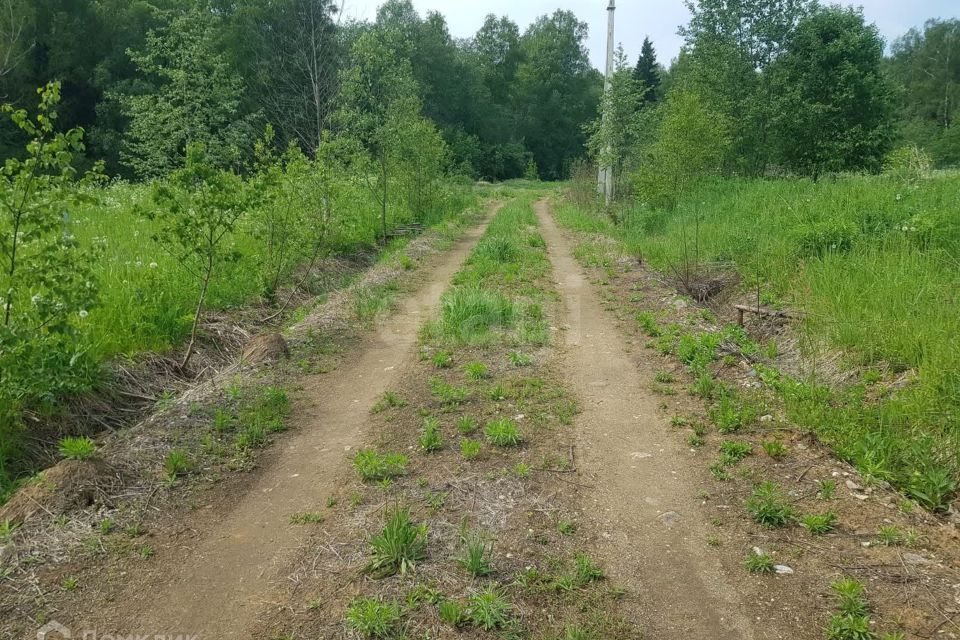 земля городской округ Солнечногорск Сергеевка фото 9