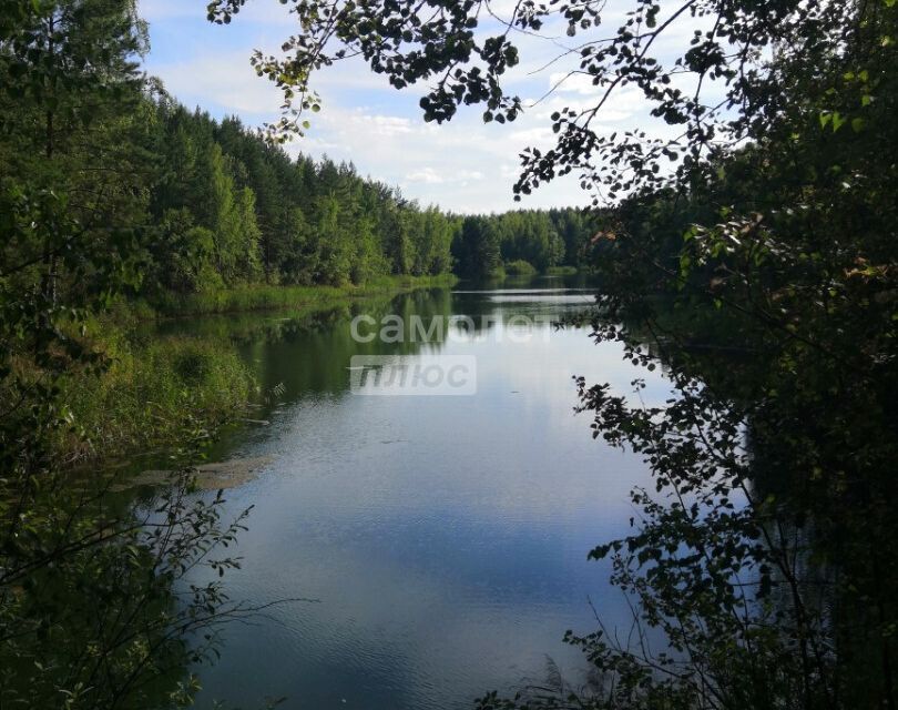 земля городской округ Воскресенск СНТ Черёмушки фото 6